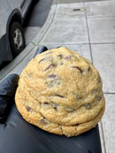 Gluten Free Choc Chip