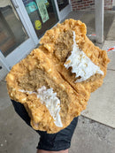 MEGA MONSTER (PUMPKIN CREAMED)