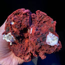 Red Velvet Oreo