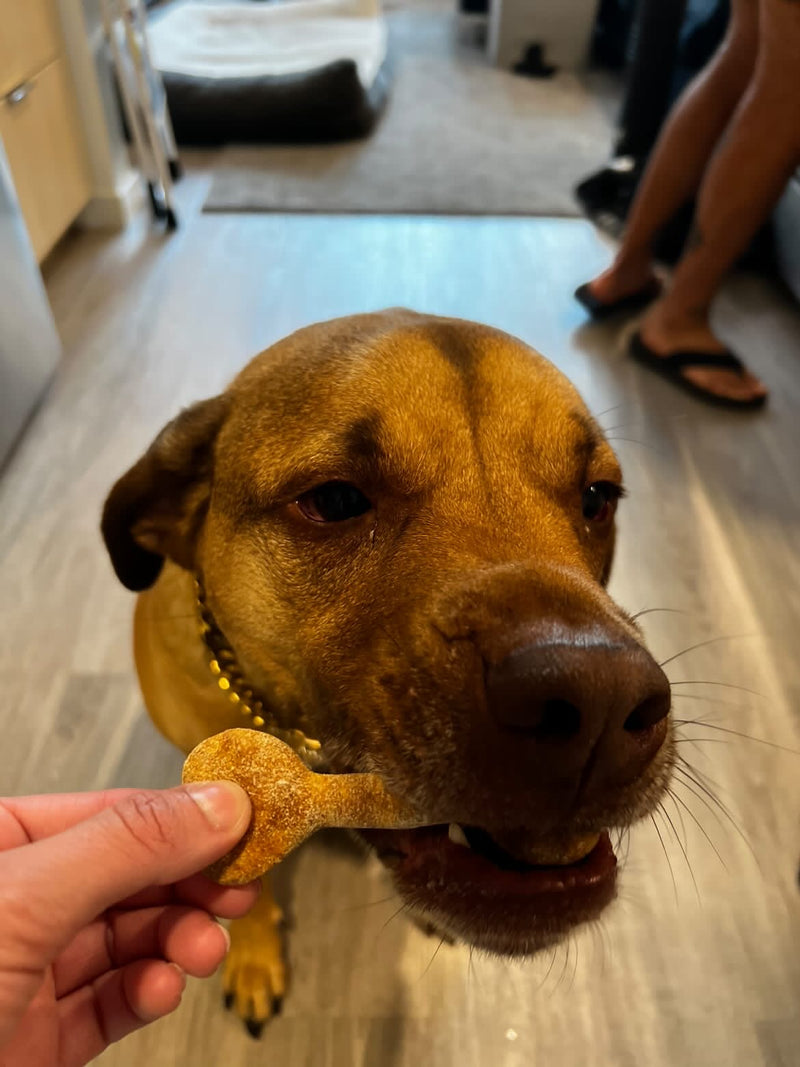 Pup Cookies (2 pcs)