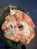 MEGA MONSTER PHOTO COOKIE