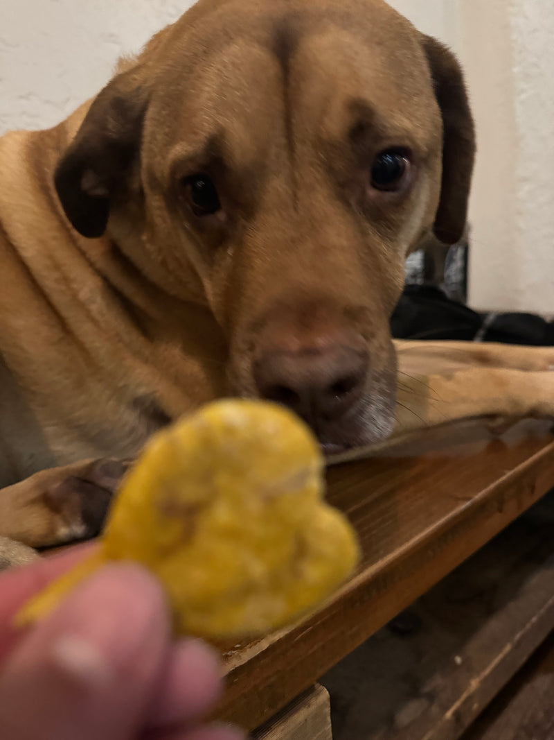 Pup Cookies (2 pcs)