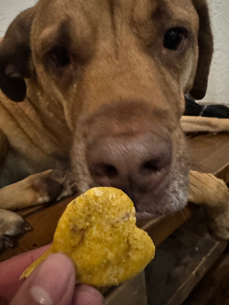 Pup Cookies (2 pcs)