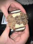 Oreo Cheesecake
