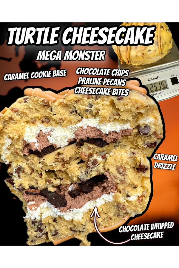 MEGA MONSTER (TURTLE CHEESECAKE)