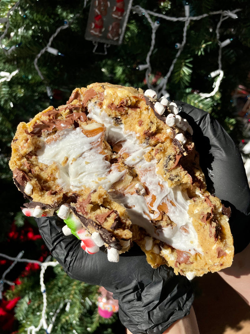 MEGA MONSTER PHOTO COOKIE