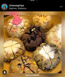 PDX MYSTERY 6 PACK COOKIE BOX!