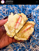 Frosted Animal Cheesecake