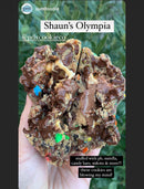 MEGA MONSTER (SHAUN'S OLYMPIA)