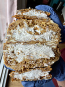 MEGA MONSTER (OATMEAL CREAM PIE)