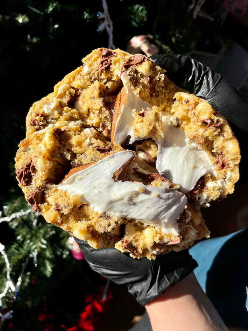 MEGA MONSTER PHOTO COOKIE